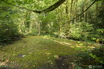 293515 US Highway 101, Quilcene, WA 98376 - Photo 31