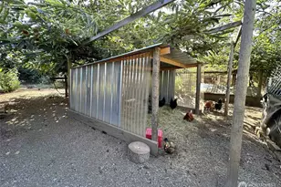 165 Swigert, Mossyrock, WA 98564 - Photo 39