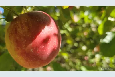 3300 Carpenter Road SE #100, Lacey, WA 98503 - Photo 35