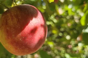 3300 Carpenter Rd SE, Lacey, WA 98503 - Photo 35