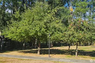 3300 Carpenter Rd SE, Lacey, WA 98503 - Photo 37