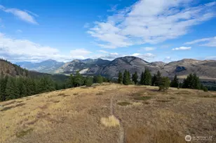 57 Lealand Ln, Winthrop, WA 98862 - Photo 37