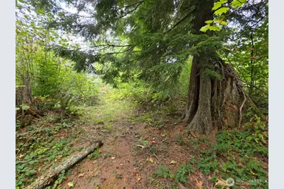 1206 Croft Avenue, Gold Bar, WA 98251 - Photo 11