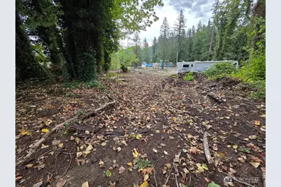 1206 Croft Avenue, Gold Bar, WA 98251 - Photo 1