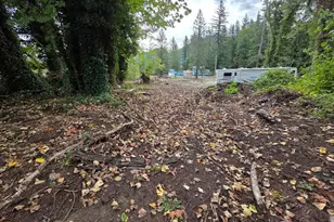 1206 Croft Ave, Gold Bar, WA 98251 - Photo 1