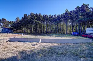 29906 H St, Ocean Park, WA 98640 - Photo 3