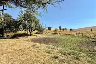 348 Hatley Gulch Rd, Dayton, WA 99328 - Photo 23