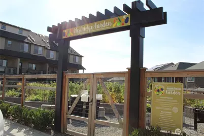 807 5th Place NE, Issaquah, WA 98029 - Photo 37