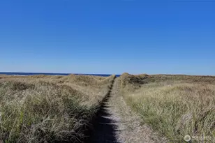 29908 H St, Ocean Park, WA 98640 - Photo 7