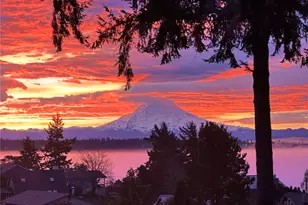 1130 Queets Dr, Fox Island, WA 98333 - Photo 35