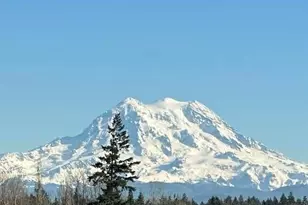 1546 Reservation Road SE, Olympia, WA 98513 - Photo 19