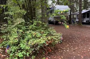 1546 Reservation Road SE, Olympia, WA 98513 - Photo 3