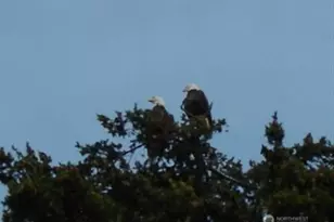 4115 76th Pl NW, Tulalip, WA 98271 - Photo 5