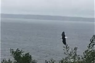 4115 76th Pl NW, Tulalip, WA 98271 - Photo 21