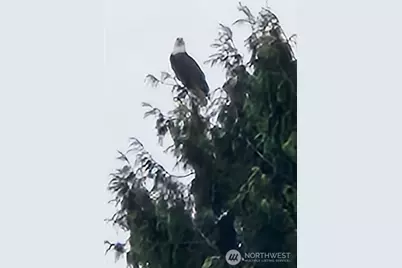 3140 E Washington, Port Orchard, WA 98366 - Photo 9