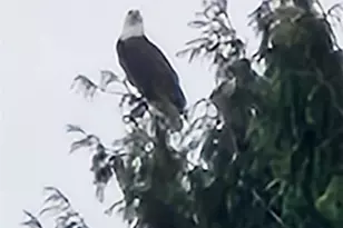 3140 E Washington, Port Orchard, WA 98366 - Photo 9