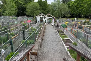 4105 Providence Point Dr SE, Issaquah, WA 98029 - Photo 35