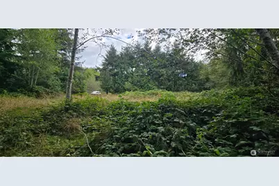 1351 Satsop Road W, Montesano, WA 98563 - Photo 3
