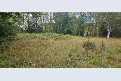 1351 Satsop Road W, Montesano, WA 98563 - Photo 7