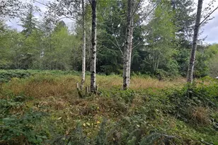 1351 Satsop Rd W, Montesano, WA 98563 - Photo 1