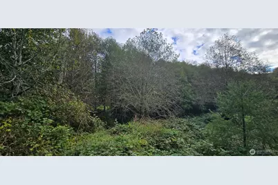 1351 Satsop Road W, Montesano, WA 98563 - Photo 5