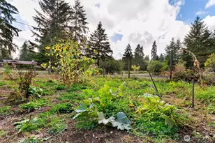 3624 104th Ave SW, Olympia, WA 98512 - Photo 17