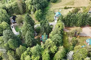 55509 310th Ave Ct E, Ashford, WA 98304 - Photo 37