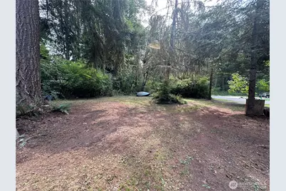 55509 310th Avenue Court E, Ashford, WA 98304 - Photo 33