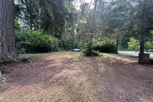 55509 310th Ave Ct E, Ashford, WA 98304 - Photo 33