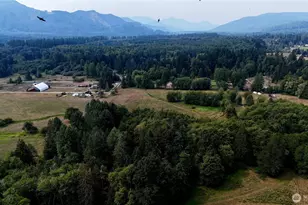 55509 310th Ave Ct E, Ashford, WA 98304 - Photo 39