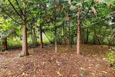 7215 36th Court SE, Lacey, WA 98503 - Photo 37