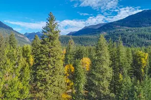 26 Mercer Rd, Mazama, WA 98833 - Photo 31