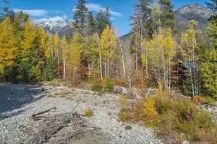 26 Mercer Rd, Mazama, WA 98833 - Photo 29