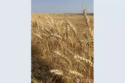 1225 Marcellus Road, Ritzville, WA 99169 - Photo 35