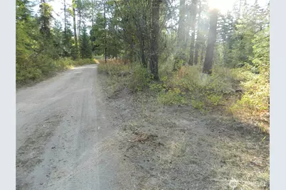 1111 Tbd Rone Road, Tonasket, WA 98855 - Photo 3