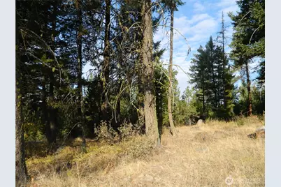 1111 Tbd Rone Road, Tonasket, WA 98855 - Photo 11