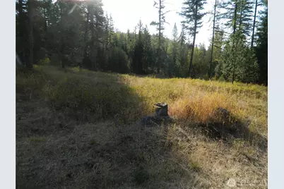 1111 Tbd Rone Road, Tonasket, WA 98855 - Photo 9