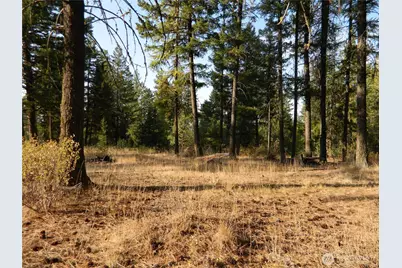 1111 Tbd Rone Road, Tonasket, WA 98855 - Photo 5