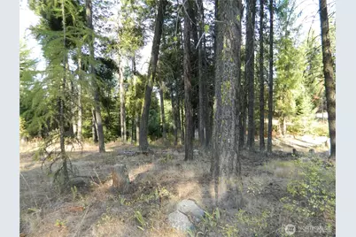 1111 Tbd Rone Road, Tonasket, WA 98855 - Photo 15