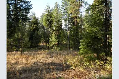 1111 Tbd Rone Road, Tonasket, WA 98855 - Photo 7