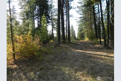 1111 Tbd Rone Road, Tonasket, WA 98855 - Photo 1