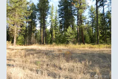 1111 Tbd Rone Road, Tonasket, WA 98855 - Photo 13