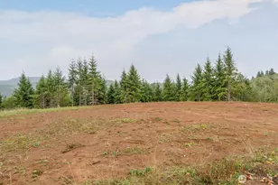 307 Greenwood Rd, Cathlamet, WA 98612 - Photo 1