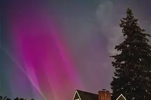 3403 N 22nd St, Tacoma, WA 98406 - Photo 39