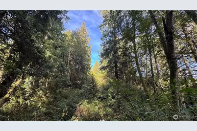 0 Heggeness Road, Clinton, WA 98236 - Photo 5