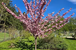 898 E Meadowood Ln, Freeland, WA 98249 - Photo 33