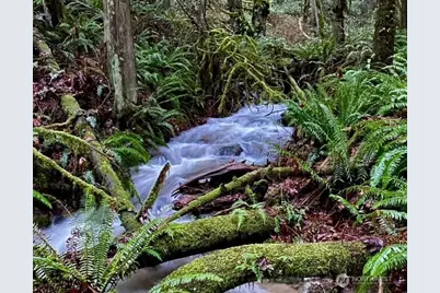25115 SE 133rd Way, Issaquah, WA 98027 - Photo 33