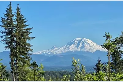 25115 SE 133rd Way, Issaquah, WA 98027 - Photo 31