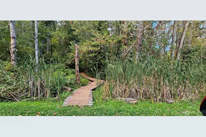 10115 Edgewood Drive, Anderson Island, WA 98303 - Photo 9