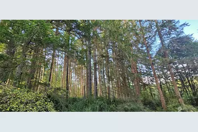 10115 Edgewood Drive, Anderson Island, WA 98303 - Photo 5